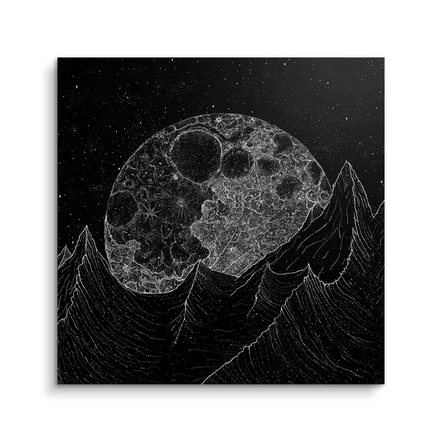 Better Off Without 5 Better Off Without – Bild 3