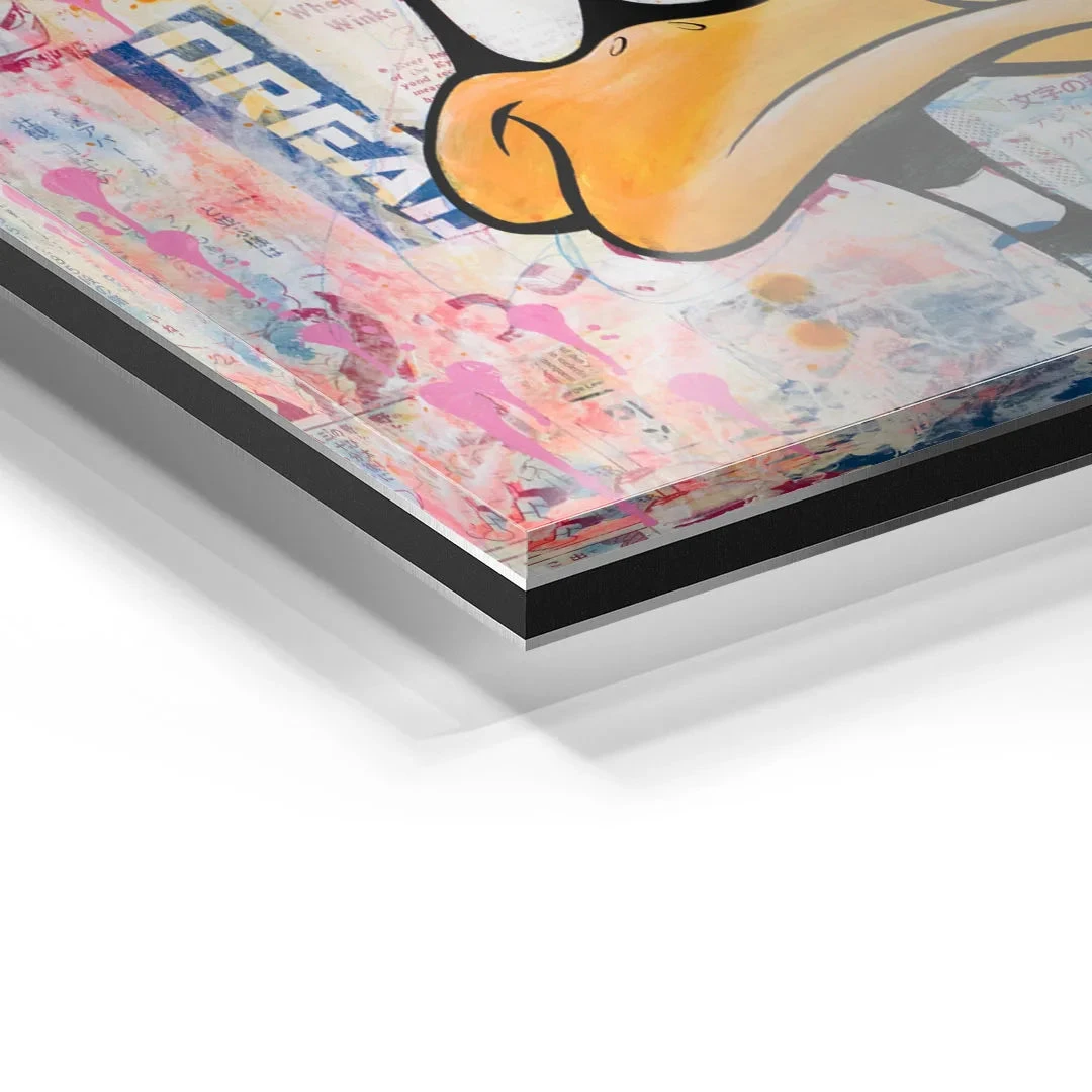 Confused 9 Confused – Bild 7