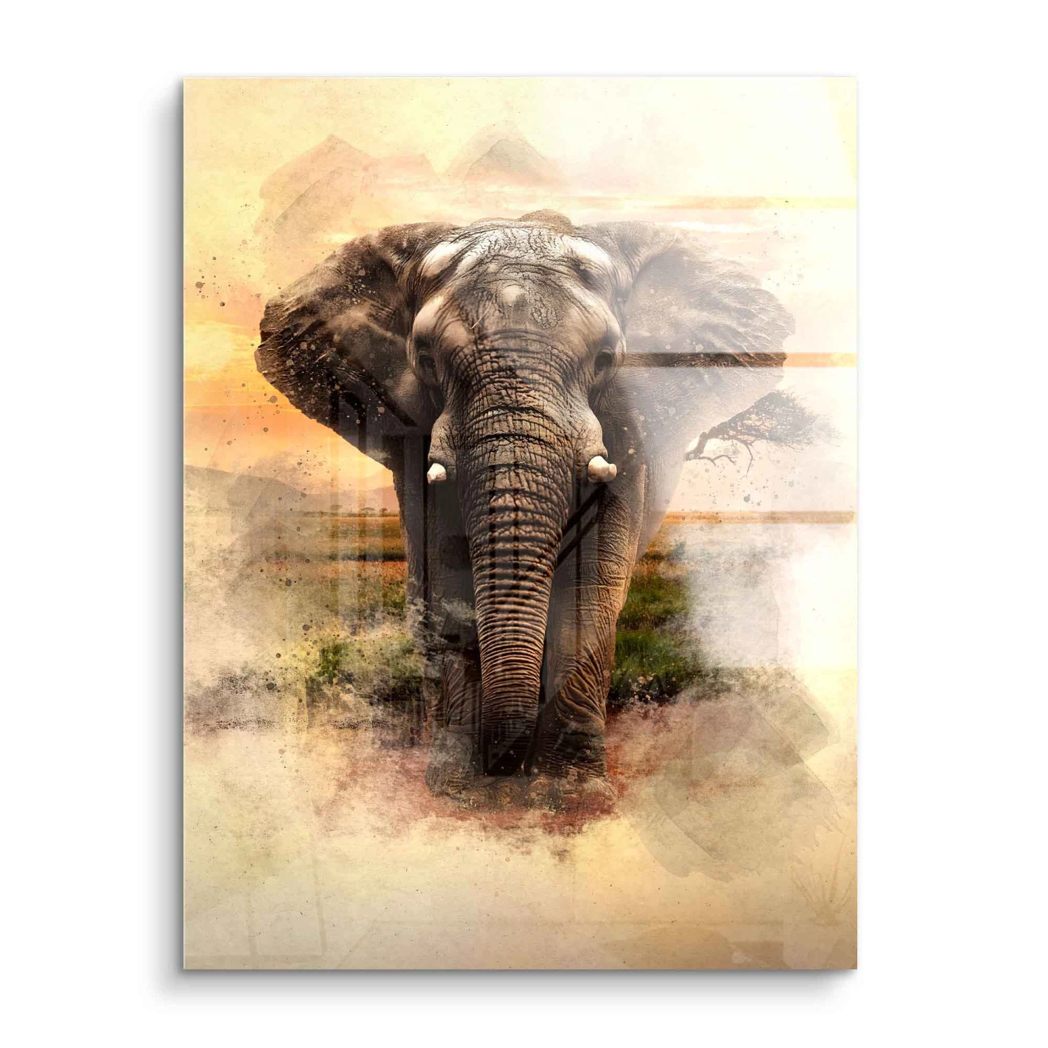 Smooth Elephant 4 Smooth Elephant – Bild 2