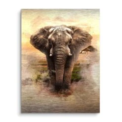 Smooth Elephant 16 Smooth Elephant -Artmind wandbild elefant wueste artmind wall art bild brushed a42751bb 1b32 44e8 94e3 3d122f47c62e