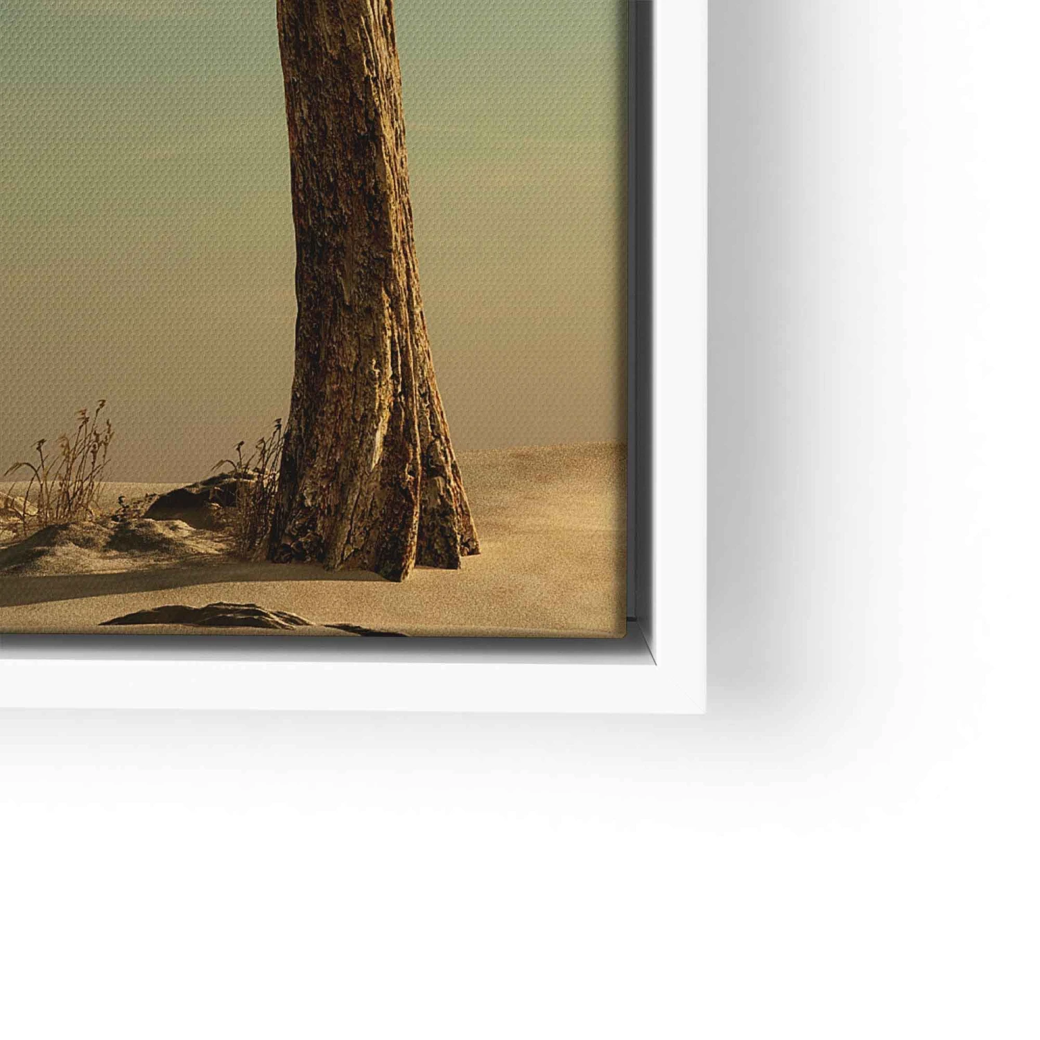 Easy One 13 Easy One – Bild 11