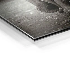 Young Elephant 22 Young Elephant -Artmind wandbild elephant baby artmind bild detail brushed