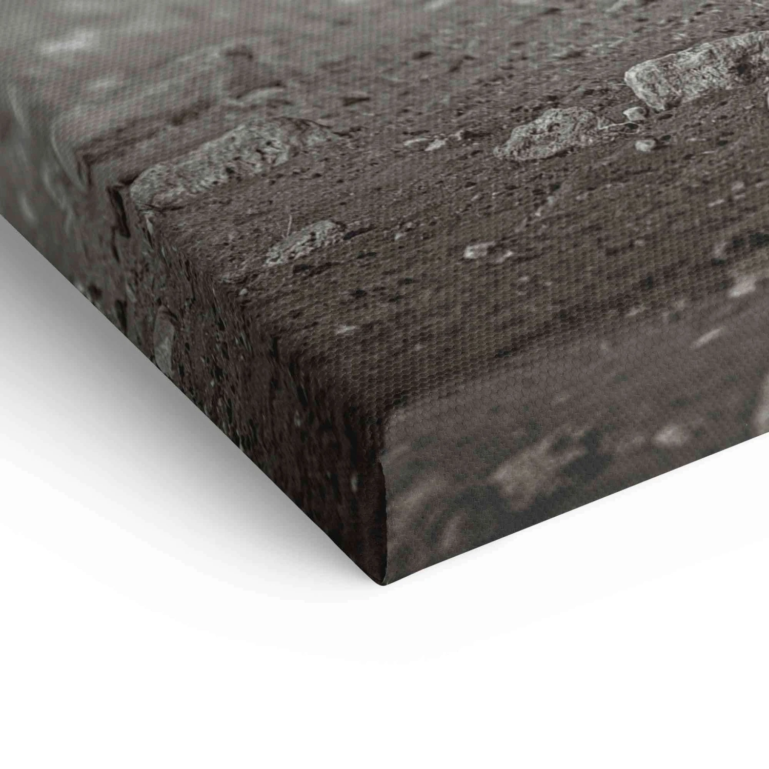 Young Elephant 12 Young Elephant – Bild 10