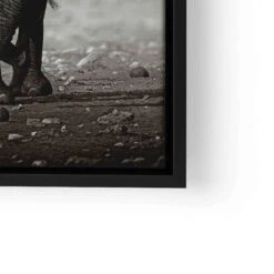 Young Elephant 24 Young Elephant -Artmind wandbild elephant baby artmind bild lwrs