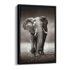 Young Elephant 17 Young Elephant -Artmind wandbild elephant baby artmind bild schattenfugenrahmen
