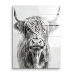 Highland Cattle 15 Highland Cattle -Artmind wandbild highland cattle stier artmind acryl