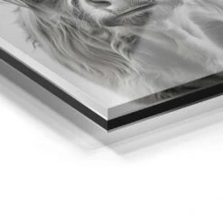 Highland Cattle 20 Highland Cattle -Artmind wandbild highland cattle stier artmind detail acryl