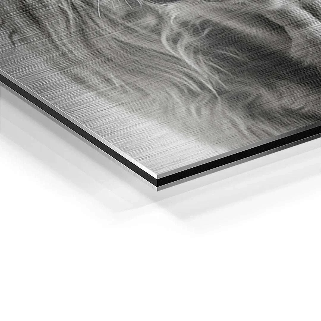 Highland Cattle 11 Highland Cattle – Bild 9