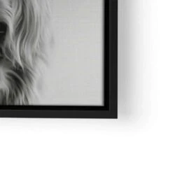 Highland Cattle 22 Highland Cattle -Artmind wandbild highland cattle stier artmind lwrs