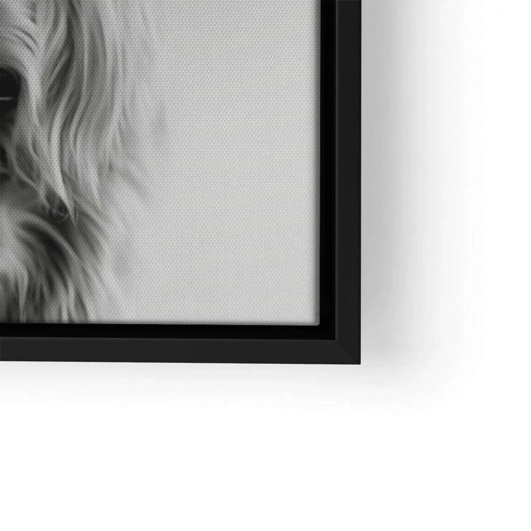 Highland Cattle 12 Highland Cattle – Bild 10