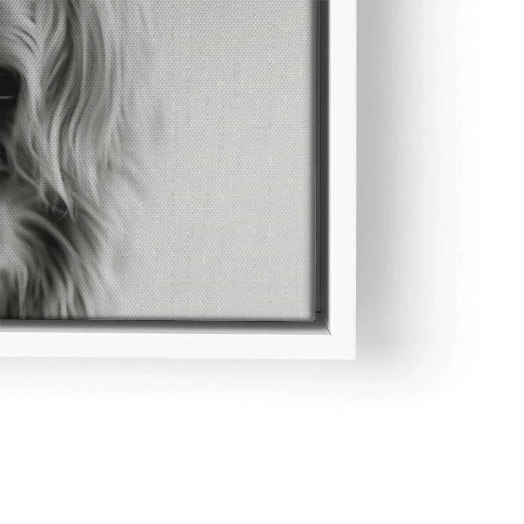 Highland Cattle 13 Highland Cattle – Bild 11