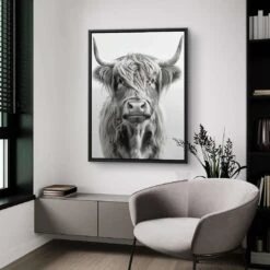 Highland Cattle 17 Highland Cattle -Artmind wandbild highland cattle stier artmind 3