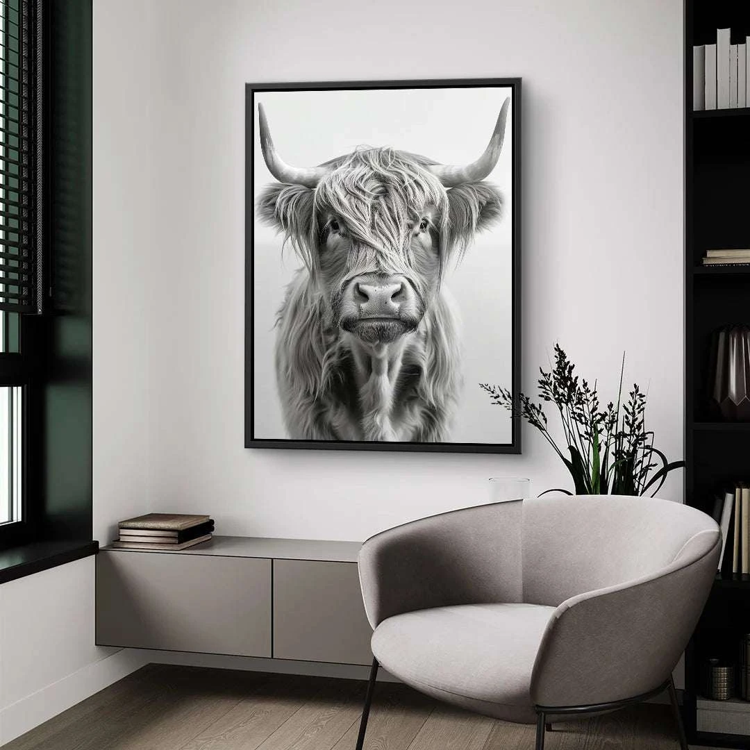 Highland Cattle 7 Highland Cattle – Bild 5