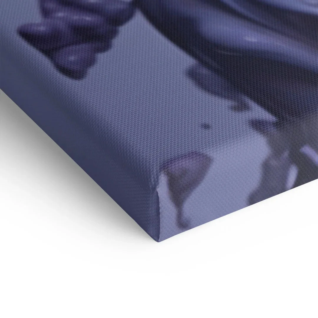 Lavendel 11 Lavendel – Bild 9