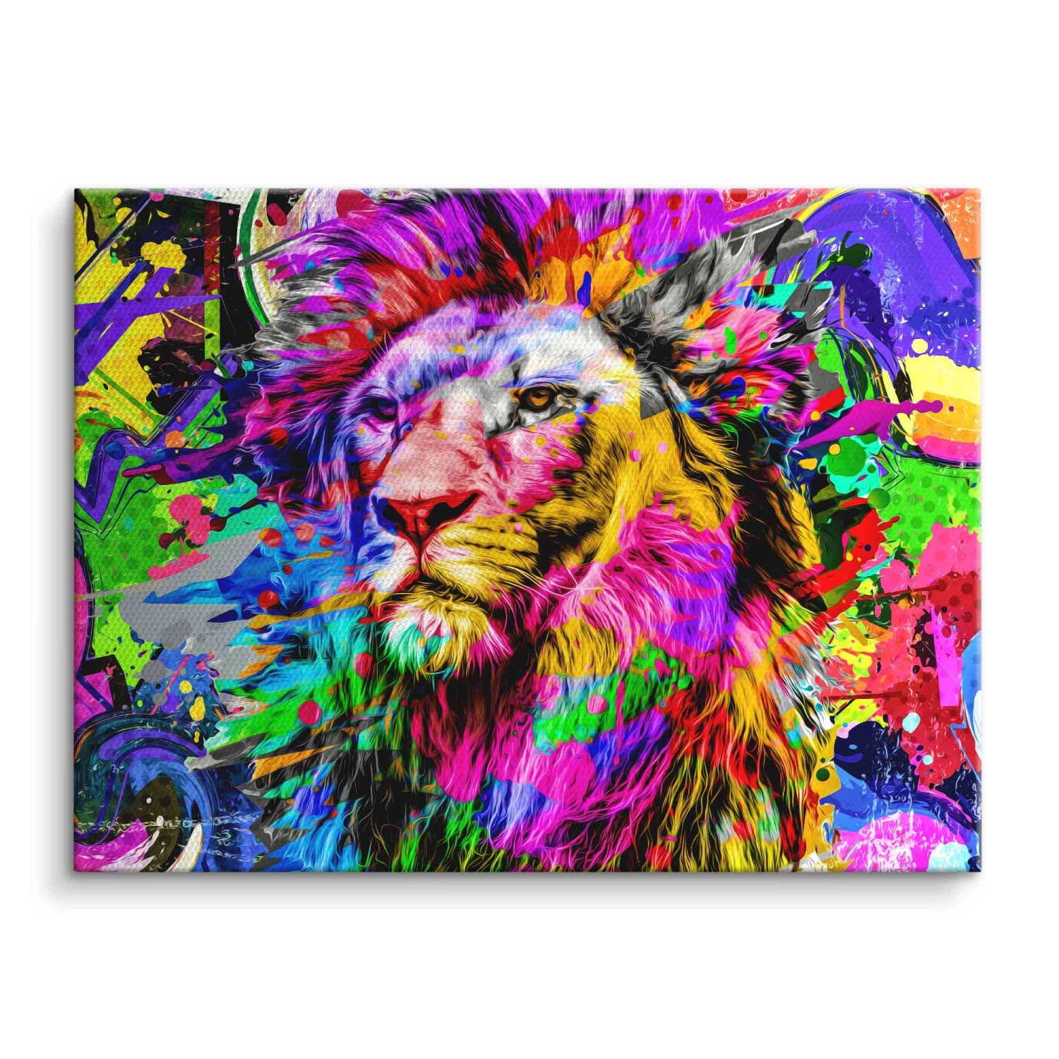 Colorful Lion King 5 Colorful Lion King – Bild 3