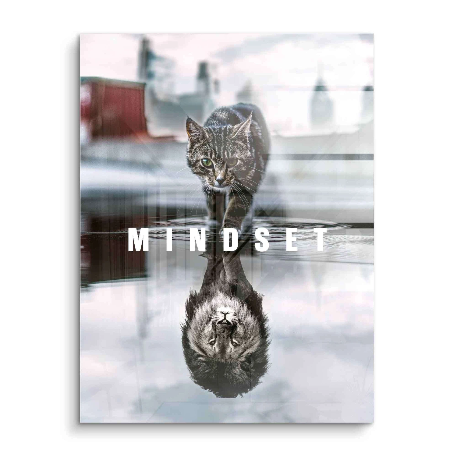 Mindset 4 Mindset – Bild 2