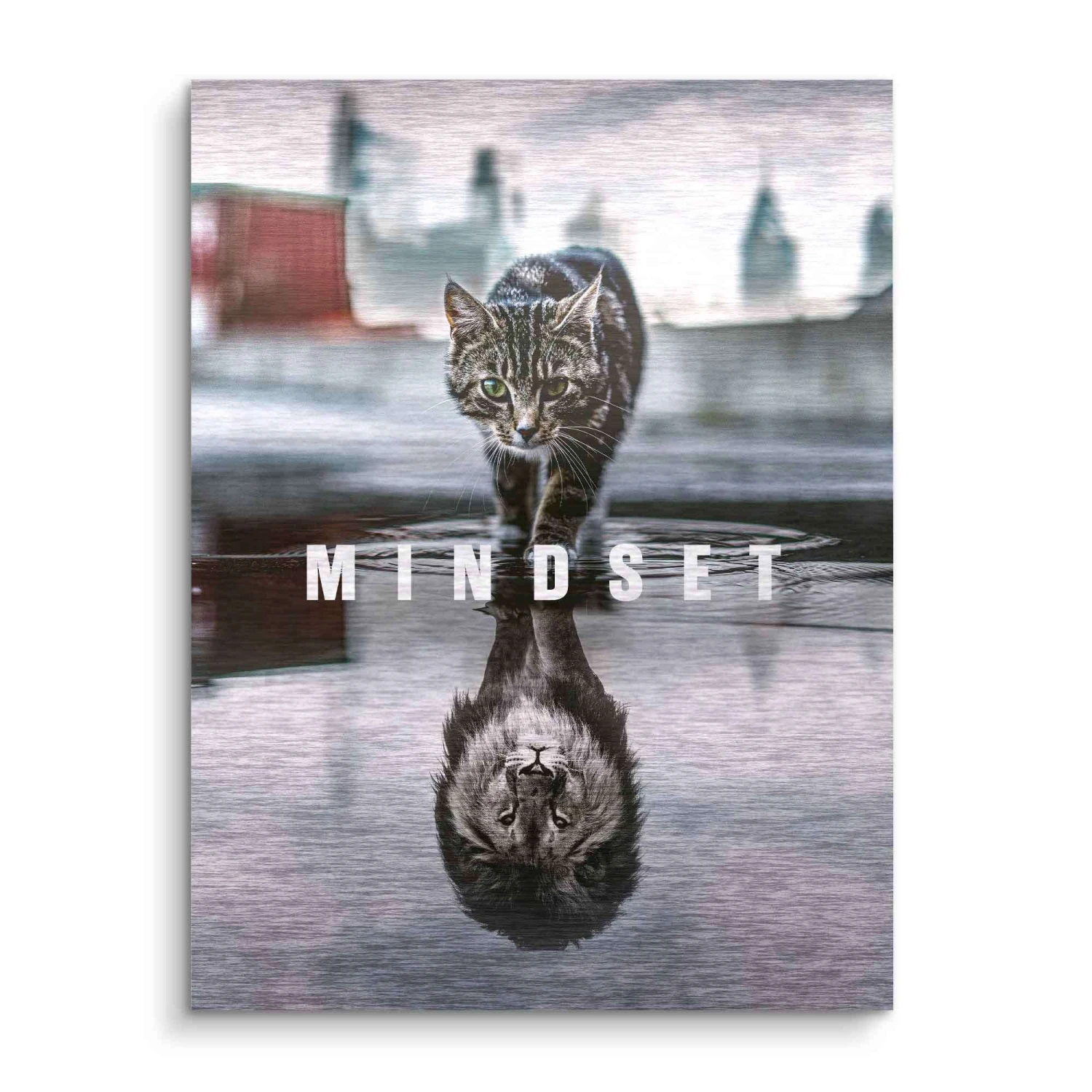 Mindset 5 Mindset – Bild 3