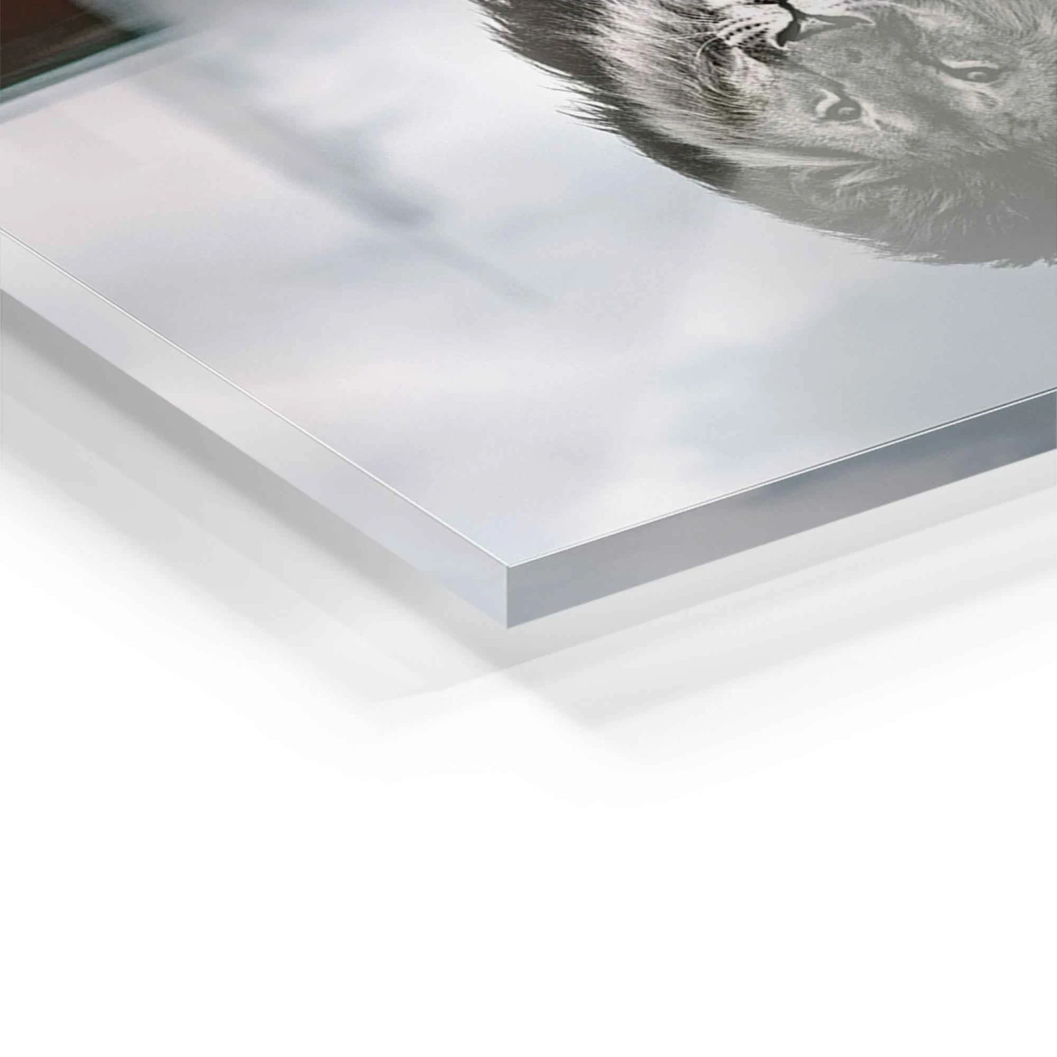 Mindset 12 Mindset – Bild 10