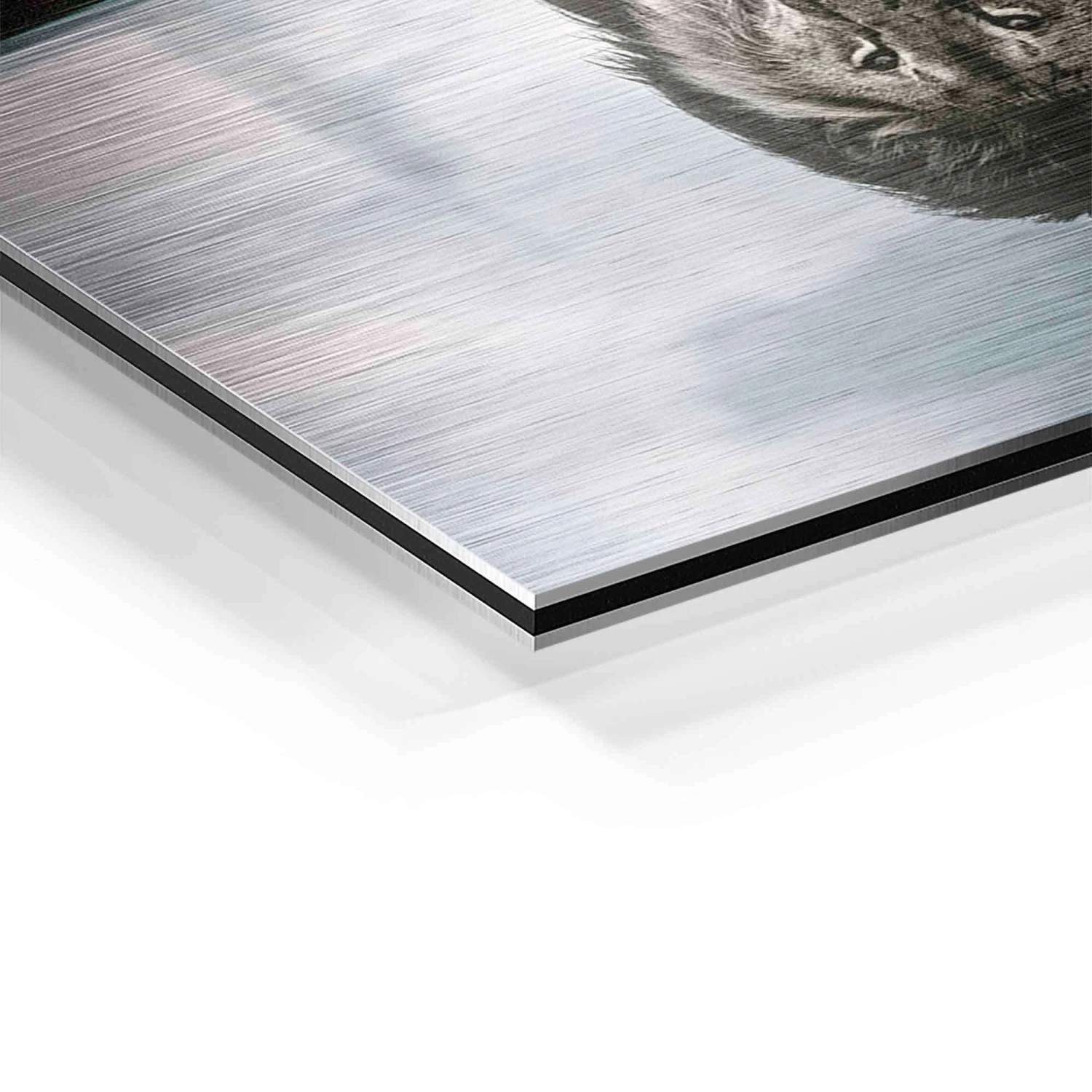 Mindset 15 Mindset – Bild 13