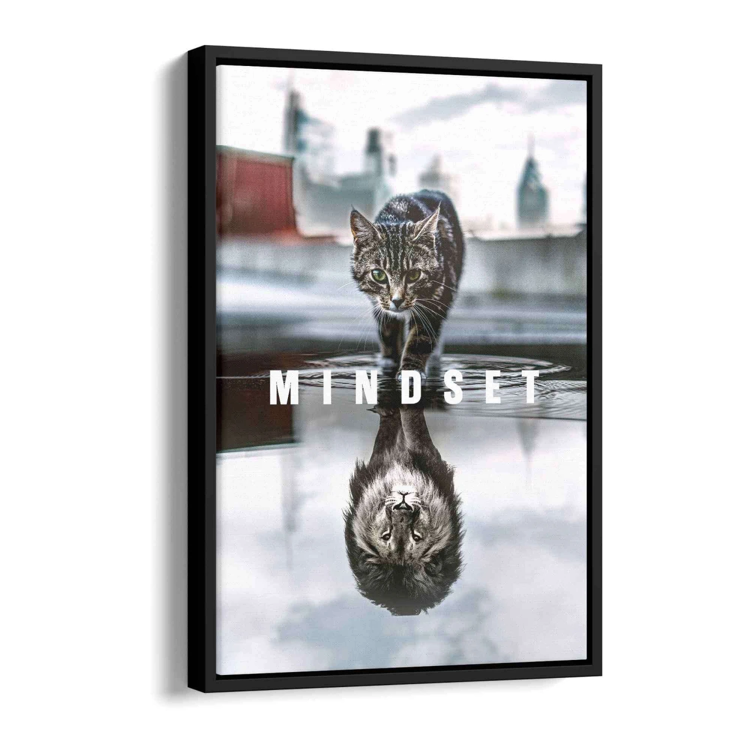 Mindset 6 Mindset – Bild 4