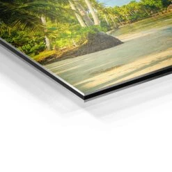 Palm Beach 22 Palm Beach -Artmind wandbild palmen strand und meer detail brushed