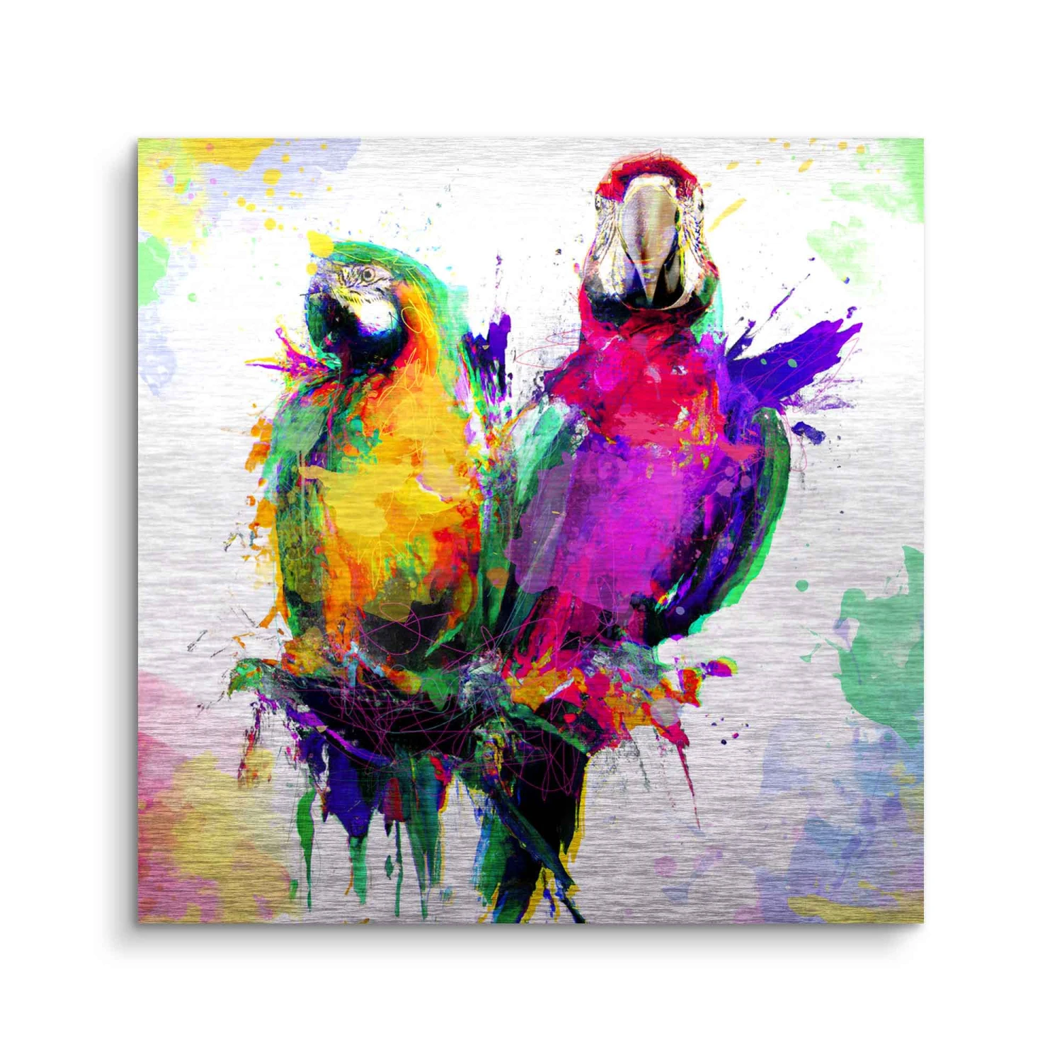 Papagei 5 Papagei – Bild 3