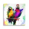 Papagei 2 Papagei -Artmind wandbild papagei colorful von artmind leinwand