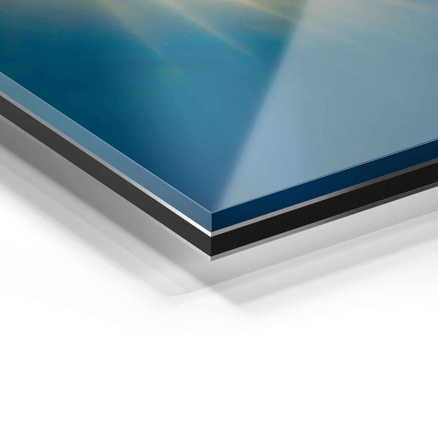 Floating Turtle 13 Floating Turtle – Bild 11