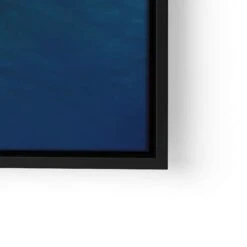 Floating Turtle 27 Floating Turtle -Artmind wandbild schildkroete wasser artmind bild lwrs