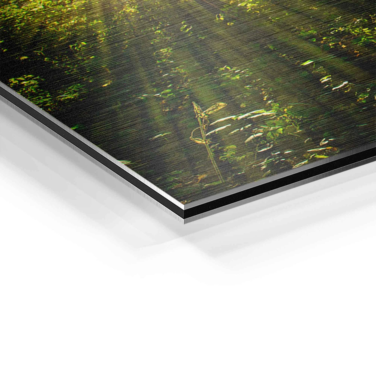 Sonnenstrahlen Im Wald 13 Sonnenstrahlen Im Wald – Bild 11