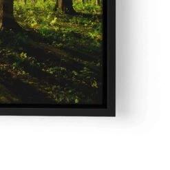 Sonnenstrahlen Im Wald 27 Sonnenstrahlen Im Wald -Artmind wandbild sonnenstrahlen durch einen gruenen wald lwrs