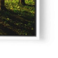 Sonnenstrahlen Im Wald 26 Sonnenstrahlen Im Wald -Artmind wandbild sonnenstrahlen durch einen gruenen wald lwrw