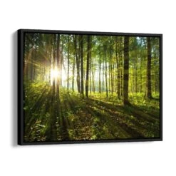 Sonnenstrahlen Im Wald 18 Sonnenstrahlen Im Wald -Artmind wandbild sonnenstrahlen durch einen gruenen wald schattenfugenrahmen