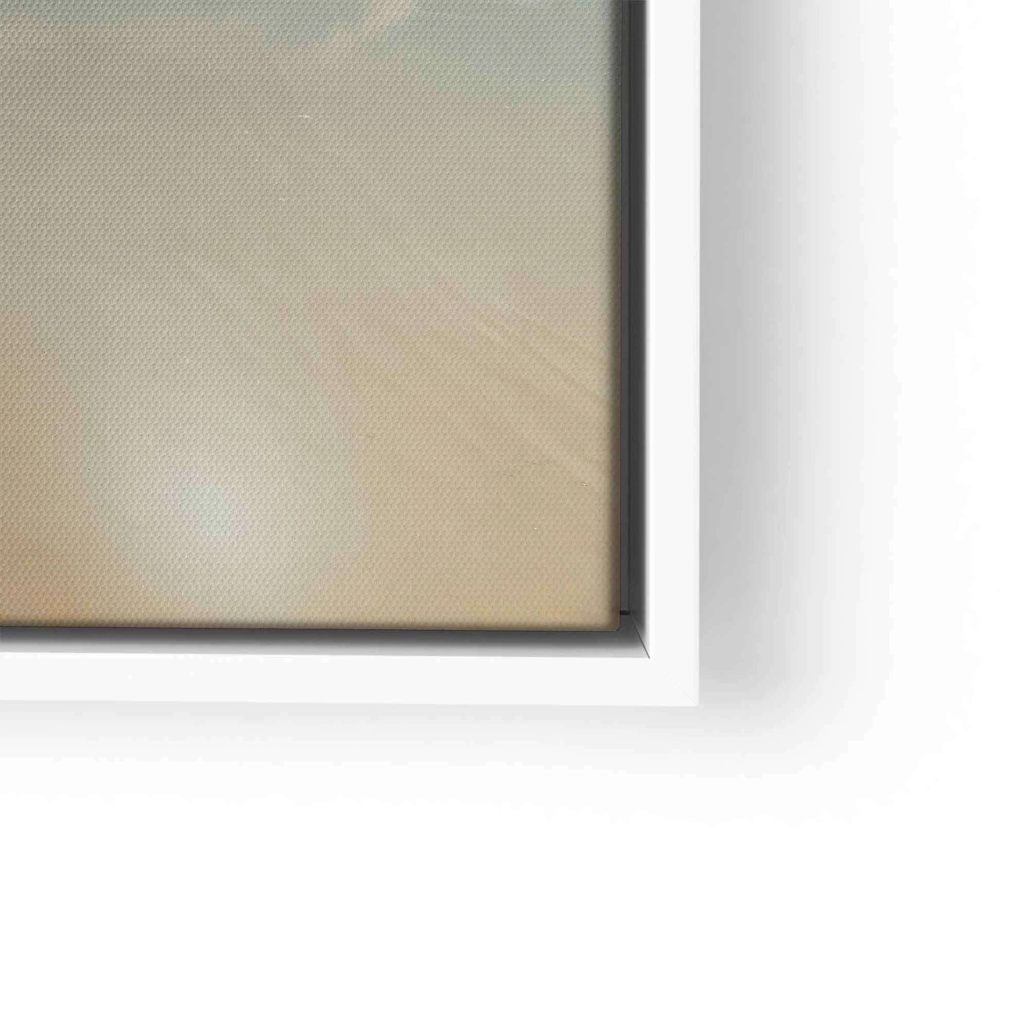 Dive Into The Ocean 14 Dive Into The Ocean – Bild 12