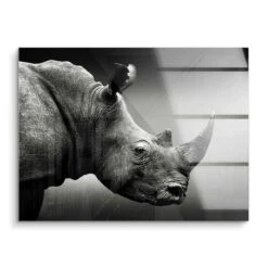 Rhino Portrait 16 Rhino Portrait -Artmind xxl wandbild nashorn black white premium artwork artmind acryl
