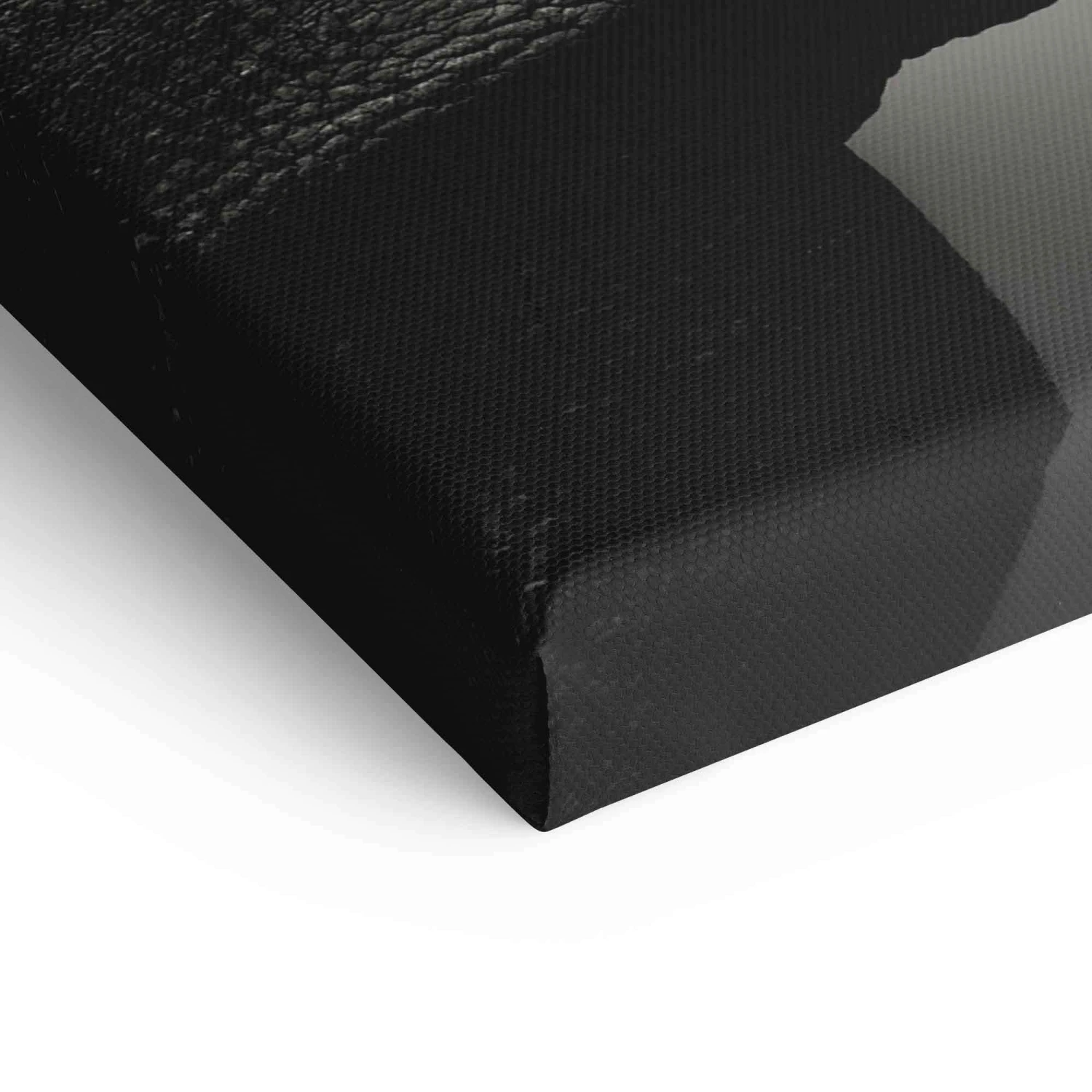 Rhino Portrait 10 Rhino Portrait – Bild 8