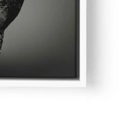 Rhino Portrait 25 Rhino Portrait -Artmind xxl wandbild nashorn black white premium artwork artmind lwrw