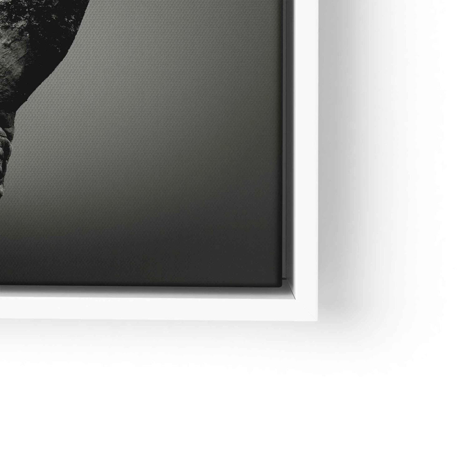 Rhino Portrait 14 Rhino Portrait – Bild 12